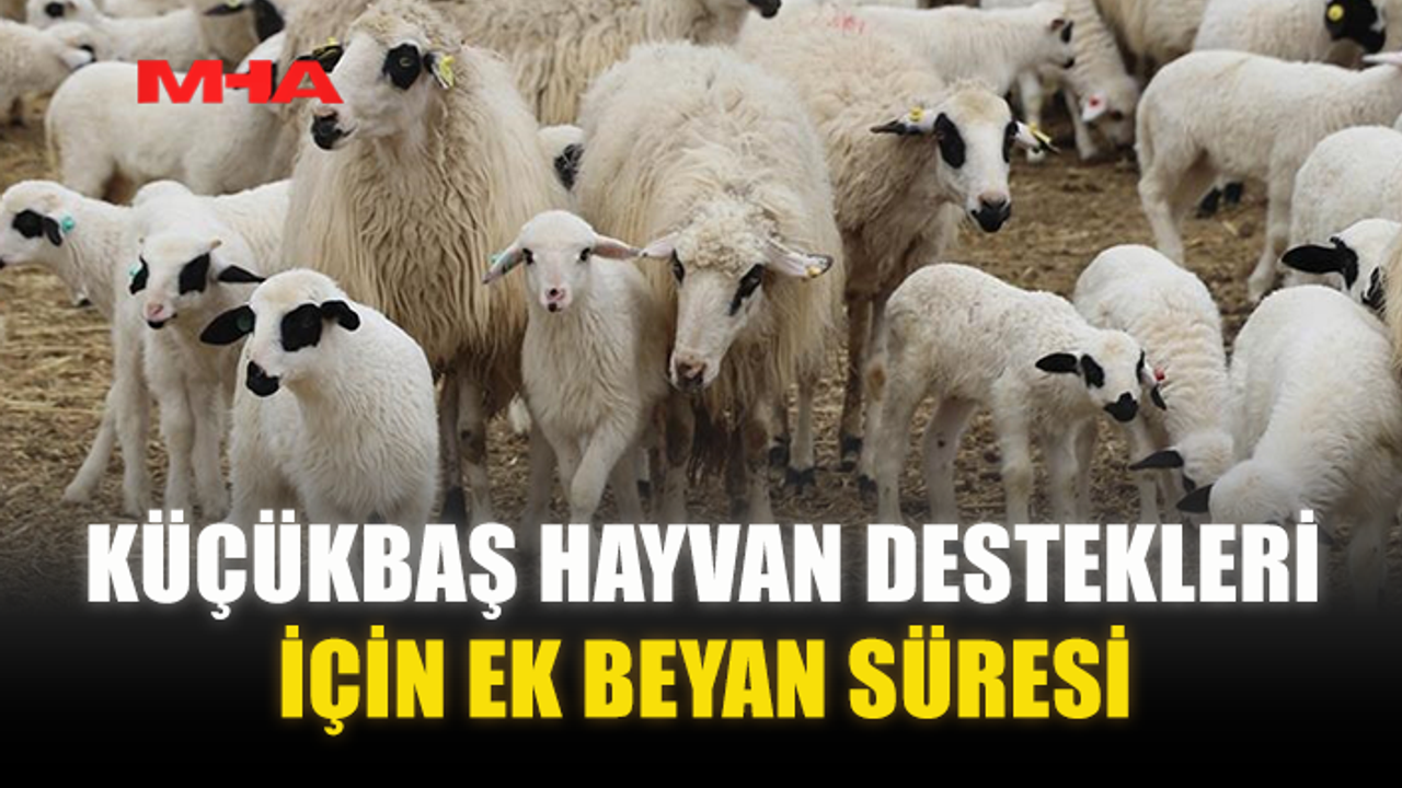KÜÇÜKBAŞ HAYVAN DESTEKLERİ İÇİN EK BEYAN SÜRESİ