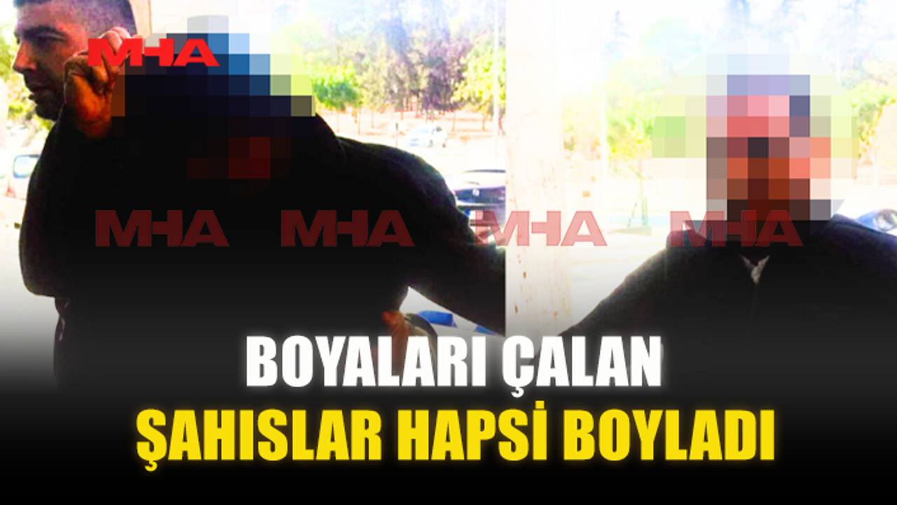 BOYALARI ÇALAN ŞAHISLAR HAPSİ BOYLADI