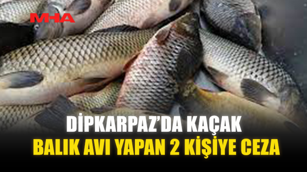 DİPKARPAZ’DA KAÇAK BALIK AVI YAPAN 2 KİŞİYE CEZA