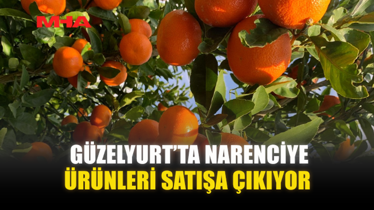 GÜZELYURT’TA NARENCİYE ÜRÜNLERİ SATIŞA ÇIKIYOR