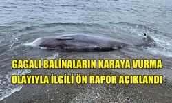 BALİNALARIN ÖLÜMÜNÜN DENİZ ALTINDAKİ ASKERİ TATBİKATLARDAN KAYNAKLANDIĞI ÜZERİNDE DURULUYOR.