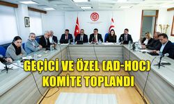 GEÇİCİ VE ÖZEL (AD-HOC) KOMİTE ÖZDEMİR BEROVA BAŞKANLIĞINDA TOPLANDI
