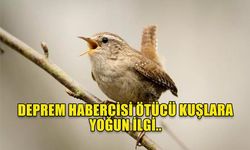 DEPREM HABERCİSİ ÖTÜCÜ KUŞLARA YOĞUN İLGİ..