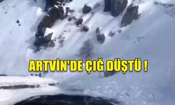 ARTVİN'DE ÇIĞ DÜŞTÜ: 2 ÖLÜ, 7 YARALI