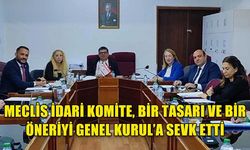 MECLİS İDARİ KOMİTE, BİR TASARI VE BİR ÖNERİYİ GENEL KURUL’A SEVK ETTİ