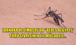 LARNAKA VE LİMASOL'DA ''AEDES AEGYPTİ'' TÜRÜ SİVRİSİNEK İLE MÜCADELE...