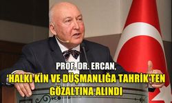 PROF. DR. ERCAN, ‘HALKI KİN VE DÜŞMANLIĞA TAHRİK’TEN GÖZALTINA ALINDI