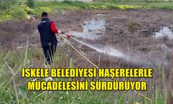 İSKELE BELEDİYESİ HAŞERELERLE MÜCADELESİNİ SÜRDÜRÜYOR