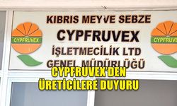 CYPFRUVEX, VALENSİYA ÜRÜNÜNÜ TONU 5 BİN TL’YE ALACAK