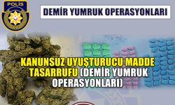 DEMİR YUMRUK OPERASYONLARI
