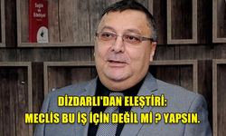 DİZDARLI'DAN ELEŞTİRİ: MECLİS BU İŞ İÇİN DEĞİL Mİ ? YAPSIN.