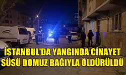 İSTANBUL'DA YANGINDA CİNAYET SÜSÜ DOMUZ BAĞIYLA ÖLDÜRÜLDÜ