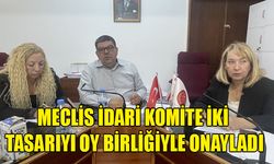 CUMHURİYET MECLİSİ İDARİ, KAMU VE SAĞLIK İŞLERİ KOMİTESİ ONAYLADIĞI YASA TASARILARIYLA GÜNDEMDE