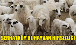 SERHATKÖY'DE HAYVAN HIRSIZLIĞI