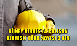 GÜNEY KIBRIS'TA 3 BİN CİVARINDA KIBRISLI TÜRK ÇALIŞIYOR