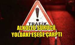 LEFKOŞA-GAZİMAĞUSA ANAYOLU'NDA ALKOLLÜ SÜRÜCÜ, YOLDAKİ EŞEĞE ÇARPTI