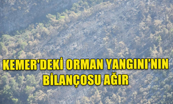 KEMER'DEKİ ORMAN YANGINI ETKİ ALANI 800 HEKTARI BULDU