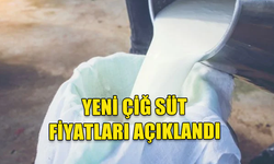 ÇİĞ SÜT FİYATLARI BELİRLENDİ