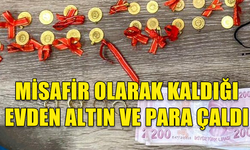 DOĞANCI'DA MİSAFİR OLARAK BULUNDUĞU EVDE HIRSIZLIK YAPTI