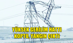 YÜKSEK GERİLİM HATTI KOPTU, YANGIN ÇIKTI