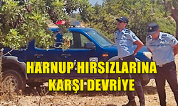 POLİS HARNUP HIRSIZLIĞINA KARŞI DEVRİYELERİ ARTIRDI