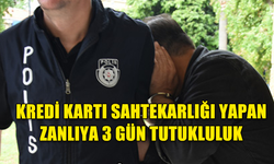 KREDİ KARTLARI İLE 4 MİLYON TL'YE YAKIN VURGUN