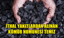 HAVA VE YAKIT KALİTESİ LABORATUVARI, KÖMÜR NUMUNESİ ANALİZ SONUÇLARINI AÇIKLADI