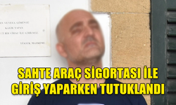 METEHAN SINIR KAPISI'NDAN SAHTE ARAÇ SİGORTASI İLE GİRİŞ YAPMAYA ÇALIŞAN ŞAHIS TUTUKLANDI