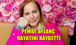 ACI KAYIP! PEMBE AYLANÇ HAYATINI KAYBETTİ