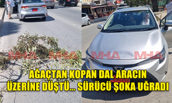 GAZİMAĞUSA'DA AĞAÇTAN KOPAN DAL, SEYİR HALİNDEKİ ARACIN ÜZERİNE DÜŞTÜ