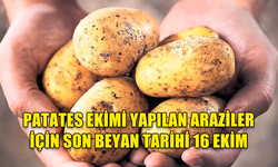 'SONBAHAR PATATES EKİMİ' YAPILAN ARAZİLER İÇİN SON BEYAN TARİHİNİN 16 EKİM OLDUĞU BİLDİRİLDİ