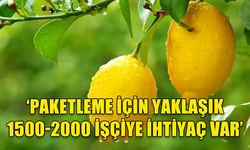 NARENCİYE ÜRETİCİLERİ, NARENCİYE HASADINDA İŞÇİ SORUNU YAŞANMAMASI İÇİN TEDBİR ALINMASINI İSTEDİ