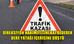 ALKOLLÜ SÜRÜCÜ DİKKATSİZLİĞİ SONUCU KAZA YAPTI!