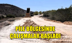 PİLE BÖLGESİNDE ÇALIŞMALAR BAŞLADI