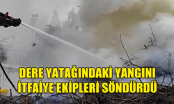 GÖÇERİ'DE, DERE YATAĞI İÇERİSİNDE BULUNAN 4 TON AĞIRLIĞINDAKİ HARNUP AĞACI ODUNU YANDI