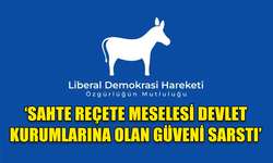 LİBERAL DEMOKRASİ HAREKETİ: SAHTE REÇETE SKANDALI KARA BİR LEKEDİR