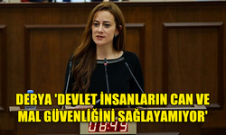 DOĞUŞ DERYA 'DEVLET İNSANLARIN CAN VE MAL GÜVENLİĞİNİ SAĞLAYAMIYOR'