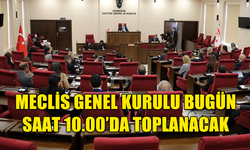 MECLİS GENEL KURULU BUGÜN TOPLANACAK