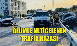 TRAFİĞE BİR CAN DAHA...