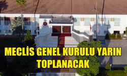 MECLİS GENEL KURULU YARIN TOPLANACAK