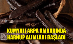 KUMYALI ARPA AMBARINDA HARNUP ALIMLARI BAŞLADI