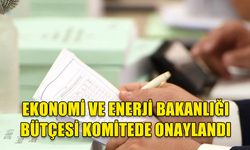 KOMİTE, 287 MİLYON 653 BİN 100 TL’LİK EKONOMİ VE ENERJİ BAKANLIĞI'NIN BÜTÇESİNİ ONAYLADI