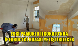 ESKİ PAMUKLU İLKOKULU’NDA İPEKBÖCEĞİ KOZASI YETİŞTİRİLECEK