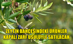 PAŞAKÖY’DE ZEYTİN BAHÇESİNDEKİ ÜRÜNLER KAPALI ZARF USULÜYLE SATILACAK