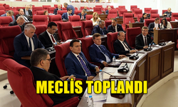 MECLİS YASAMA VE DENETİM GÜNDEMİ İLE TOPLANDI