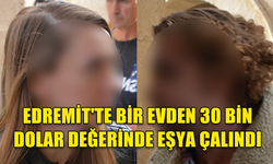 EDREMİT'TE, BİR EVDEN 30 BİN DOLAR DEĞERİNDE EŞYA ÇALAN İKİ ZANLIYA 3'ER GÜN TUTUKLULUK VERİLDİ