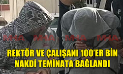 HIRSIZLIKTAN TUTUKLANAN ÜNİVERSİTE REKTÖRÜ VE ÇALIŞANI TEMİNATA BAĞLANDI