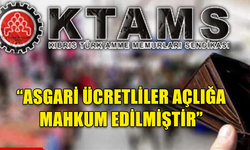 KTAMS: “EKİM AYI AÇLIK SINIRI 17 BİN 472 TL