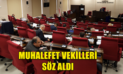 MUHALEFET MİLLETVEKİLLERİ SÖZ ALDI