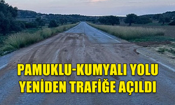 PAMUKLU-KUMYALI ANAYOLU YENİDEN TRAFİĞE AÇILDI